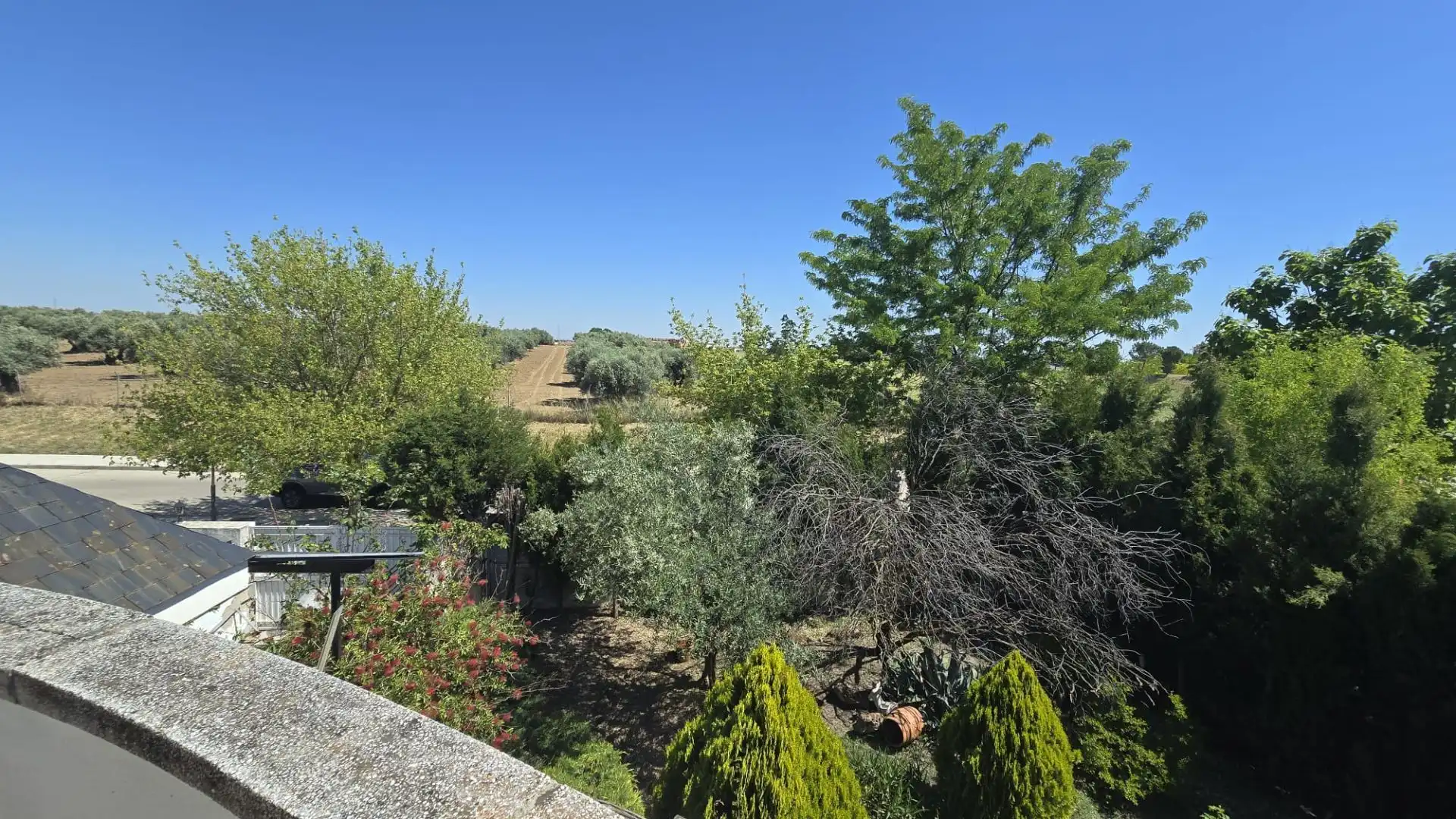 Jardín de Casa o chalet en venta en Illescas con Aire acondicionado, Calefacción y Jardín privado