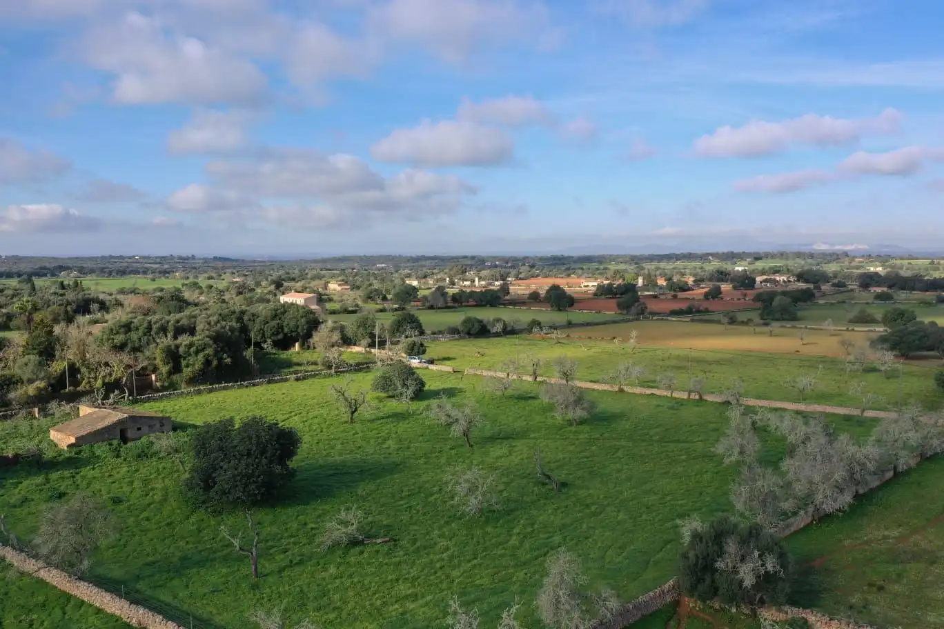 Rural land for sale in Cas Concos - Santanyí, imagen 6