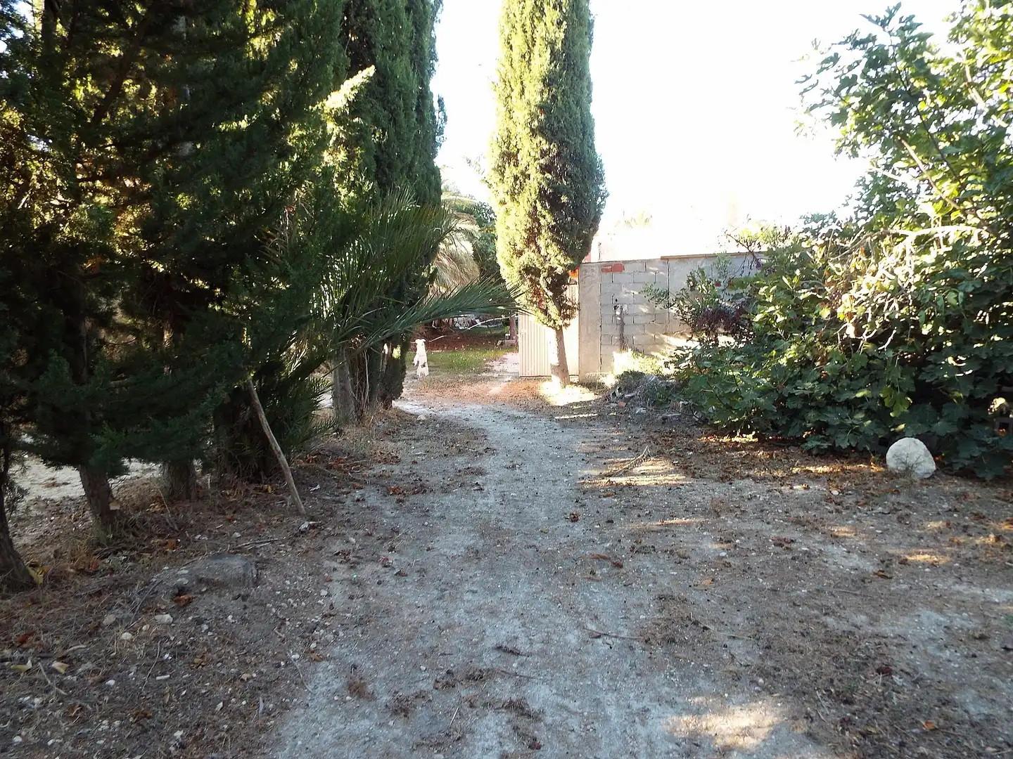 Casa rústica en venda a Abanilla, imagen 13