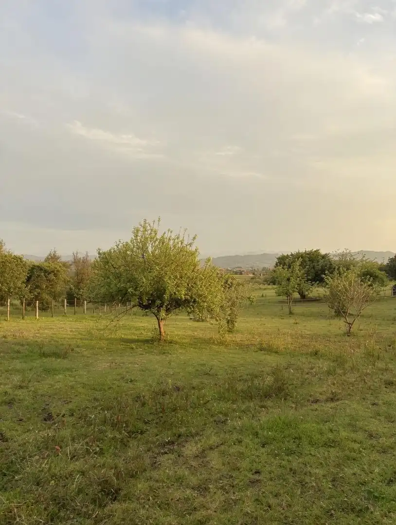Residential land for sale in La Pola de Siero 58, imagen 3