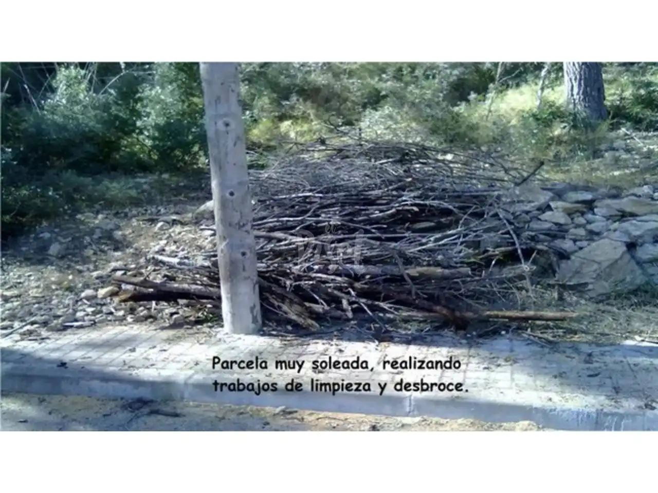 Rural land for sale in Urbanizacion Colinas, imagen 3