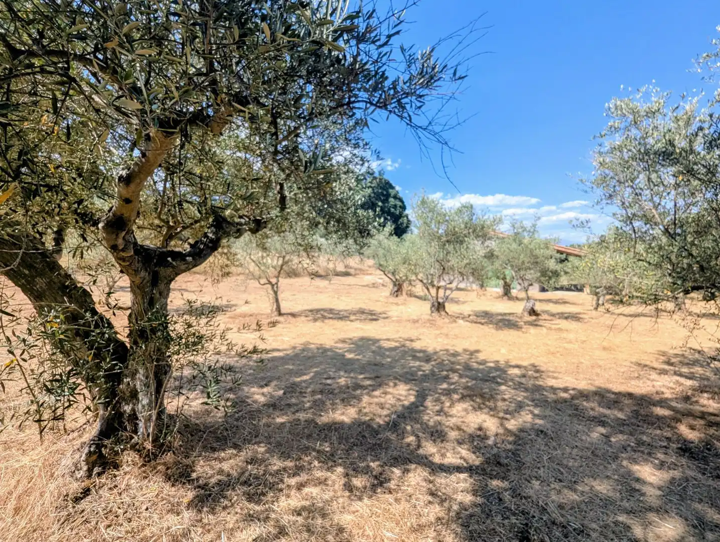 Maison à vendre à Villanueva de la Vera, imagen 36