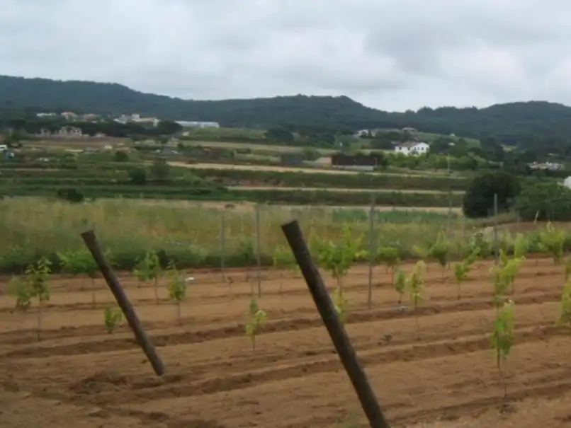 Rustikales Grundstück zum Verkauf in Carretera Tordera 4, imagen 5