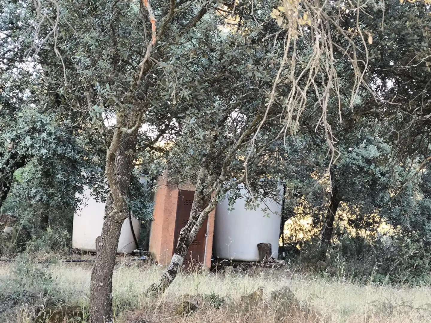 Rural land for sale in Fuente Obejuna, imagen 26