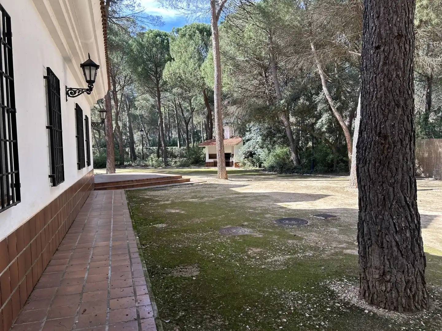Jardí de Casa o xalet en venda en Albacete amb Aire condicionat, Calefacció i Terrassa