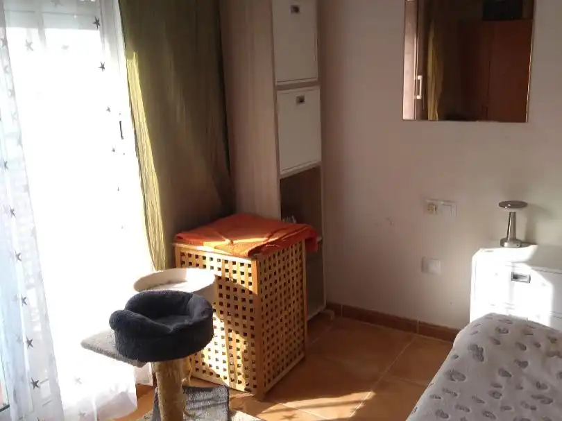 Villa mit Garten zum Verkauf in Carrer Gran Canària 93, imagen 4
