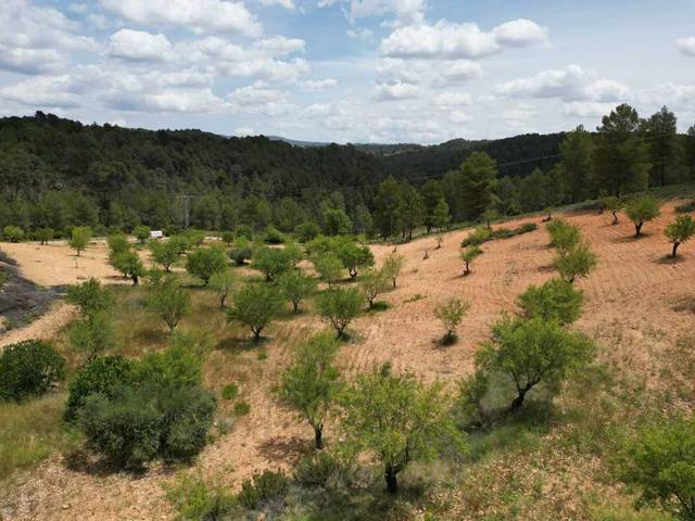 Terreno residencial en Venta en Vallejo De La Tia Casta en Mira