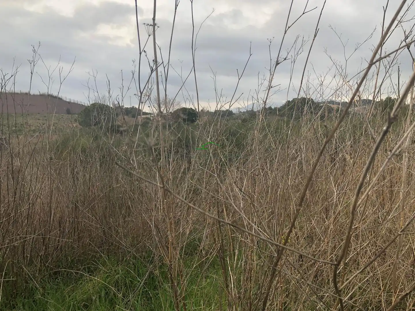 Terreno en venta en MONTSENY S/N, 1, Sant Esteve Sesrovires