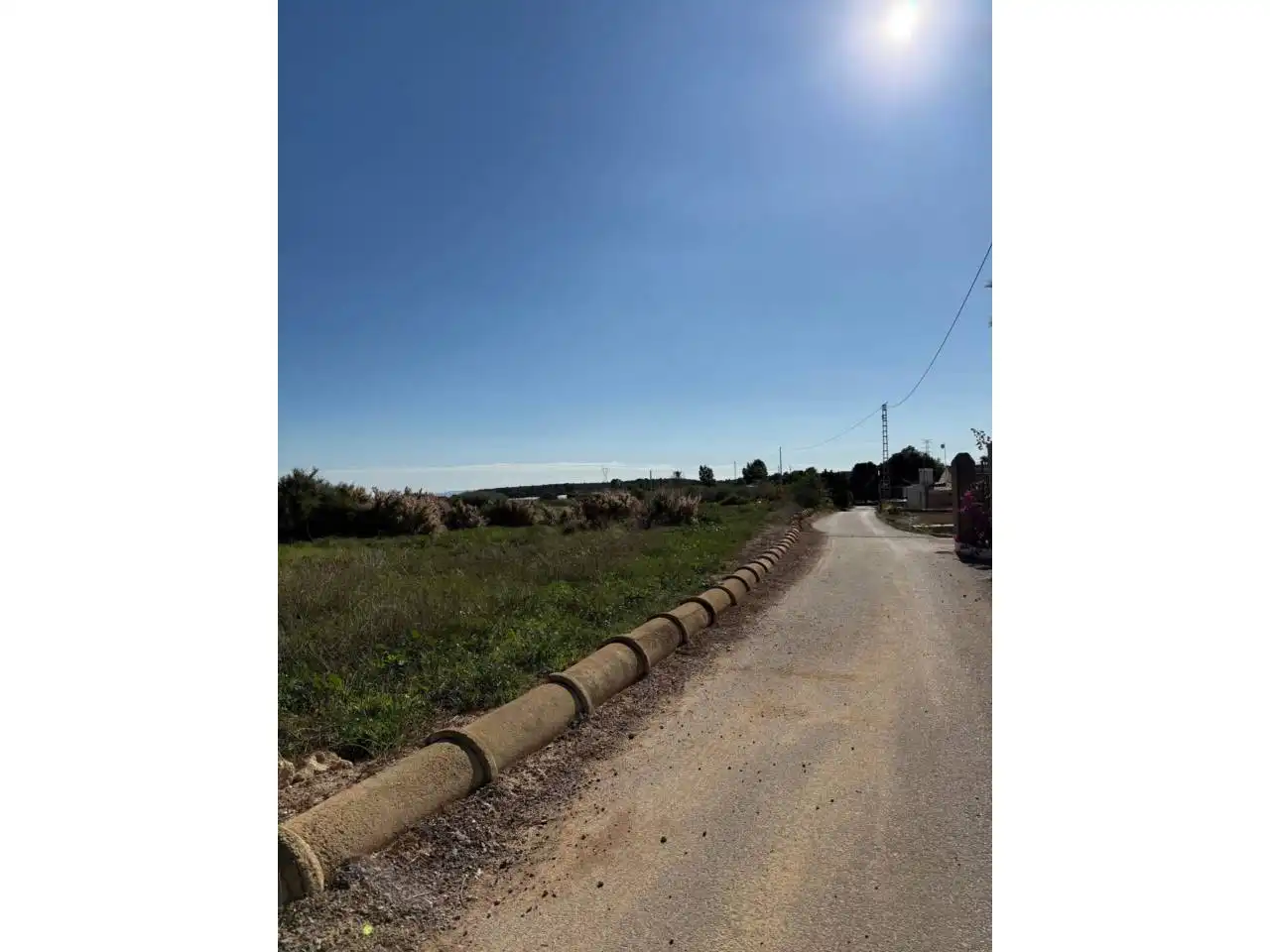 Vista exterior de Finca rústica en venta en Elche / Elx con Terraza y Amueblado