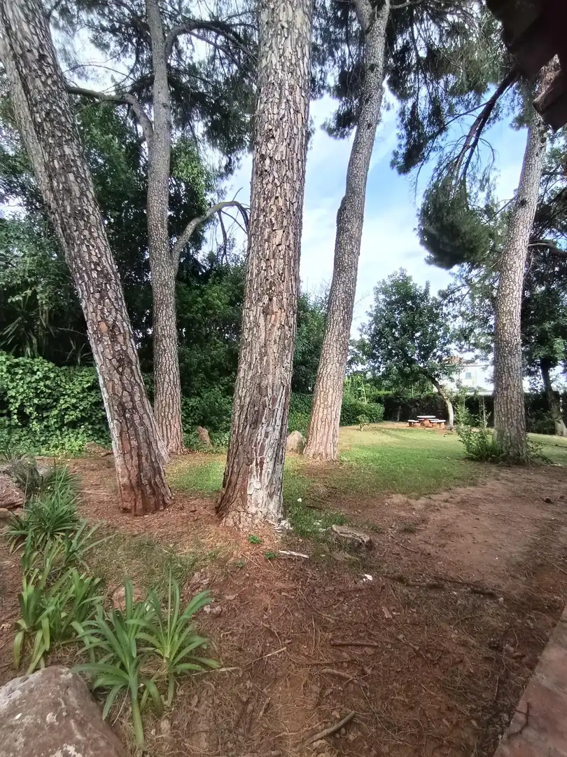 Garden of Houses for sale in Córdoba  with Air Conditioner and Private garden