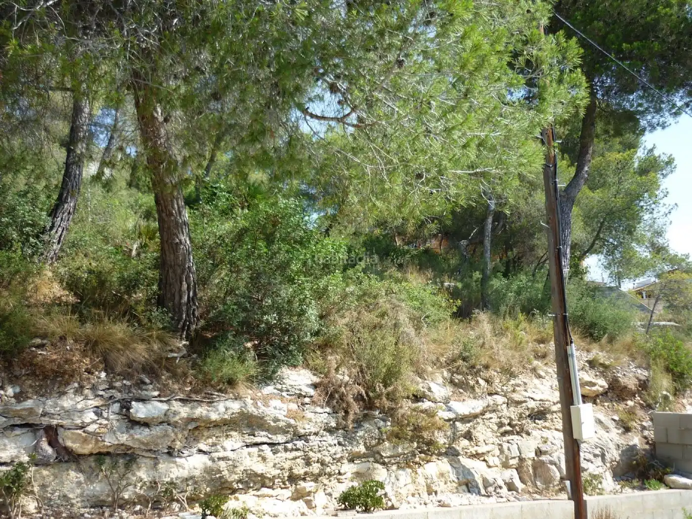 Terreno residencial en venta en Carrer Farigola 4, imagen 20