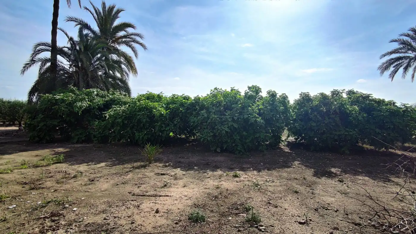 Villa con giardino in vendita a La Foia - Daimés - Asprella, imagen 8