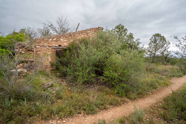 Terreno en Venta en Camí Vell del Cementiri, 4 en Jesús - Els Reguers