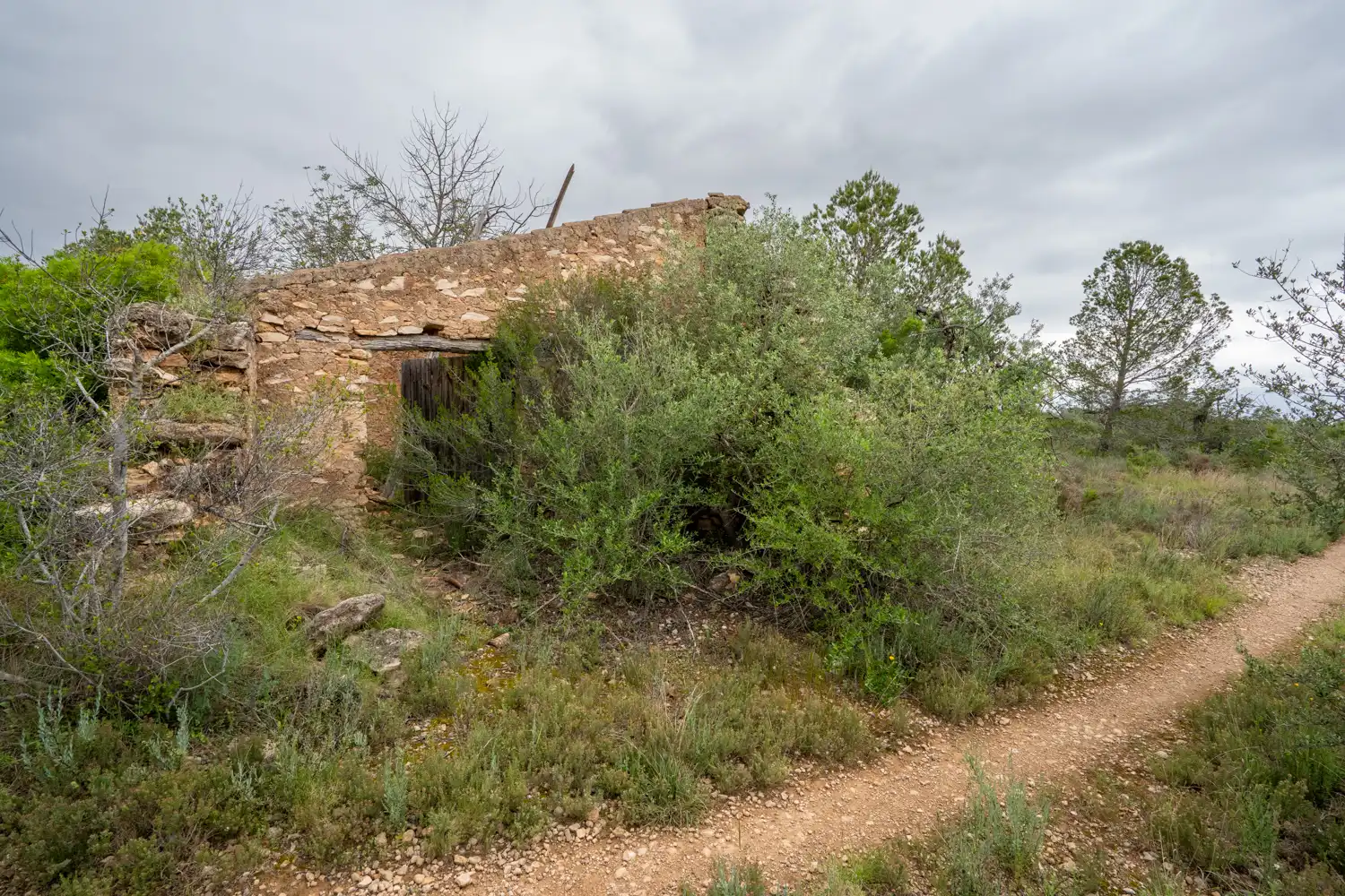 Terrain rustique à vendre à Camí Vell del Cementiri 4