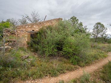 Terrain rustique à vendre à Camí Vell del Cementiri 4