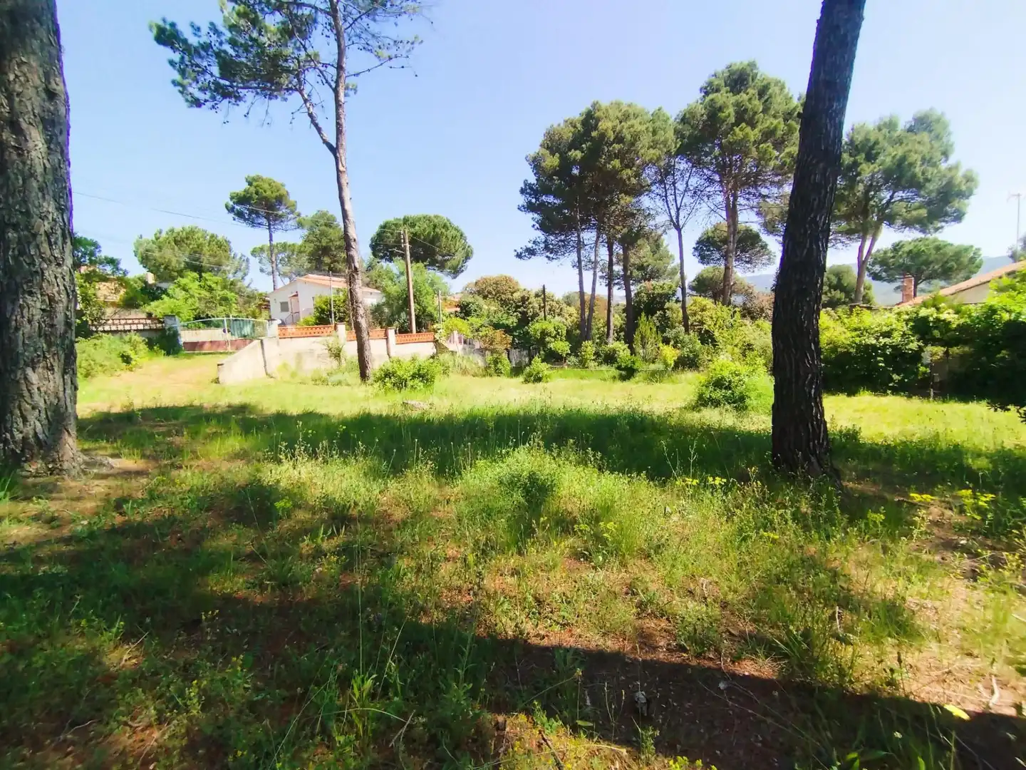 Residential land for sale in Calle COVA SIMANYA, imagen 4