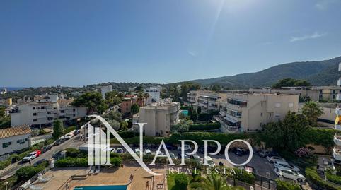 Photo 3 of Flat to rent in Monaco, Sant Agustí,  Palma de Mallorca