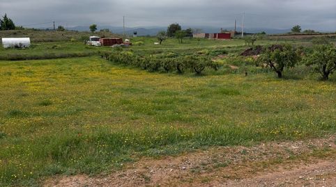Finca de recreo, immagine 5