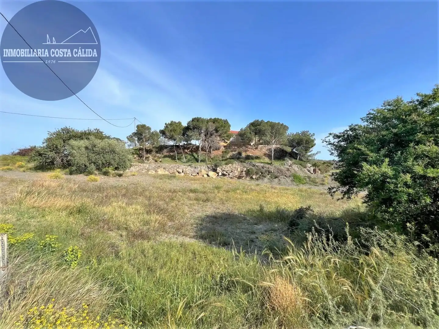 Terreno rustico in vendita a Diseminado Barranco del Lobo 3, imagen 5