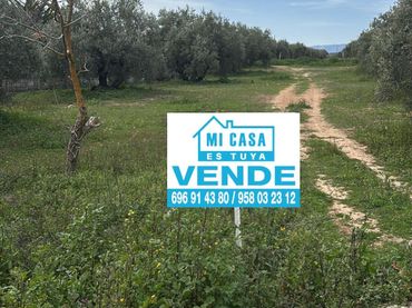 Terrain résidentiel à vendre à Avenida de los Alamos