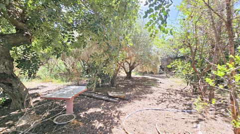 Photo 2 of Houses for sale in Balsapintada - El Estrecho, Fuente Álamo de Murcia