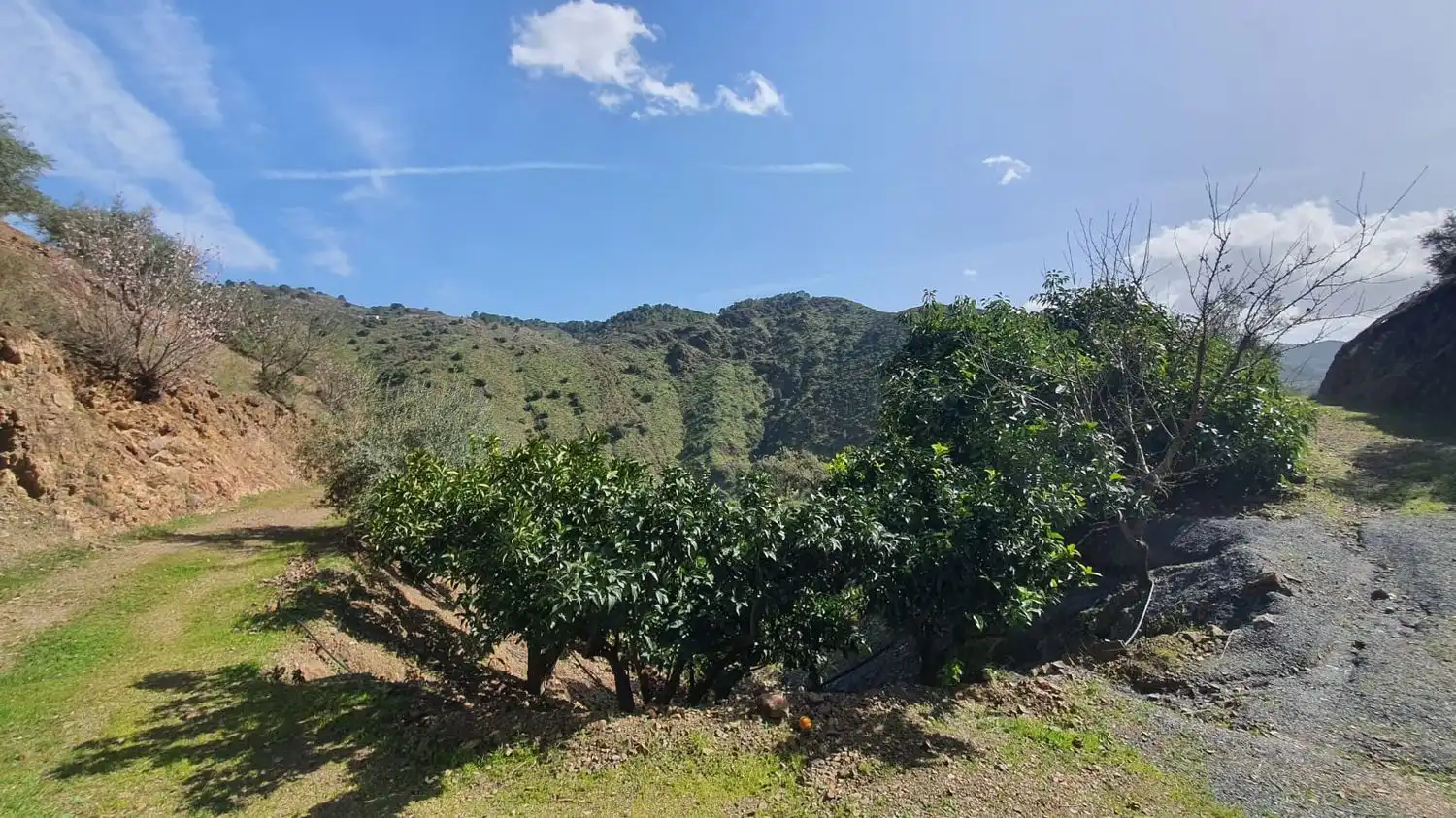 Residencial en venta en Monda