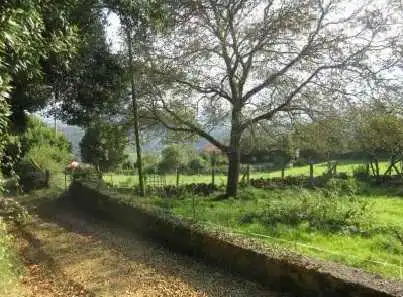 Terreni e lotti in vendita a Lg Pedro Moria, imagen 7