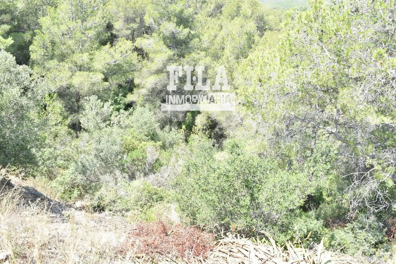 Rural land for sale in La Bisbal del Penedès, imagen 3