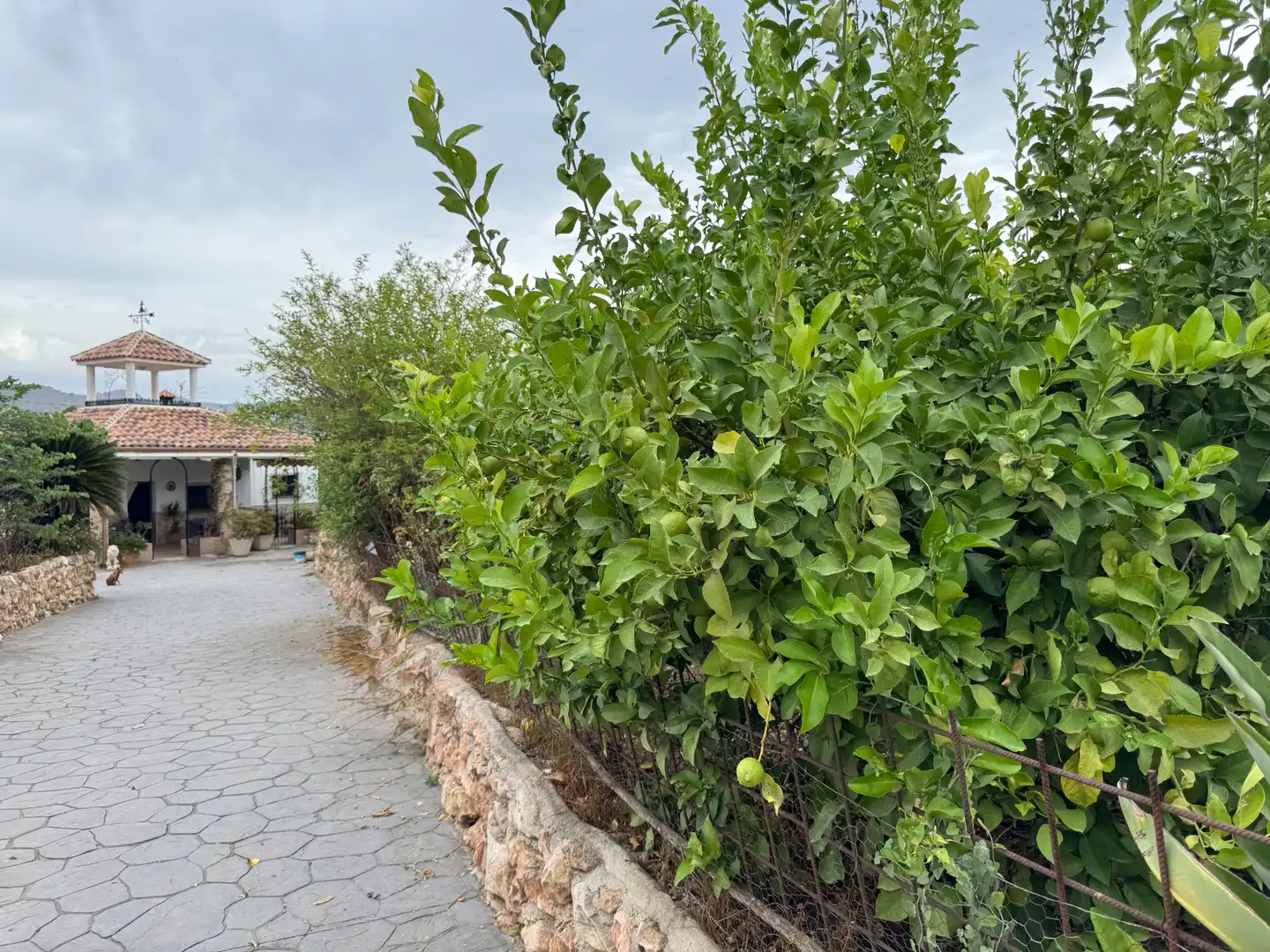 Landhaus mit Garten zum Verkauf in Alquería - Torrealquería, imagen 3