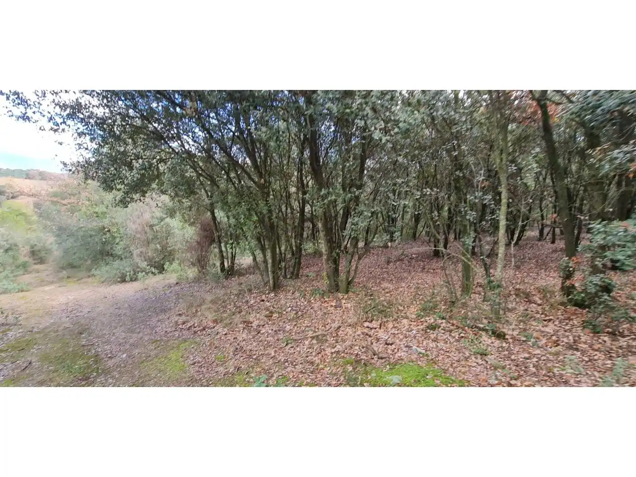 Rural land for sale in Lliçà d'Amunt, imagen 3