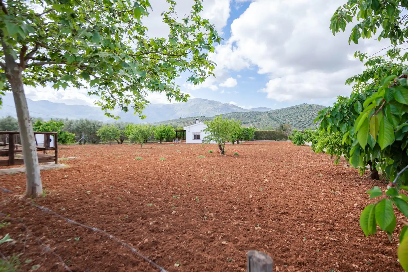 House with garden for sale in Villanueva del Rosario, imagen 34