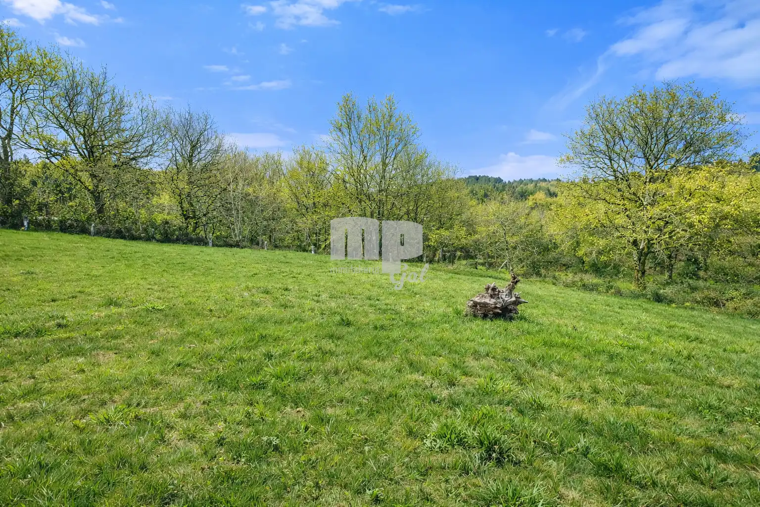 Country homes for sale in Ponte Caldelas  with Private garden
