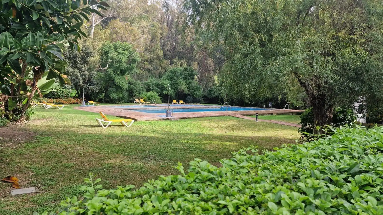 Piscina de Piso en venta en Marbella con Aire acondicionado, Terraza y Amueblado