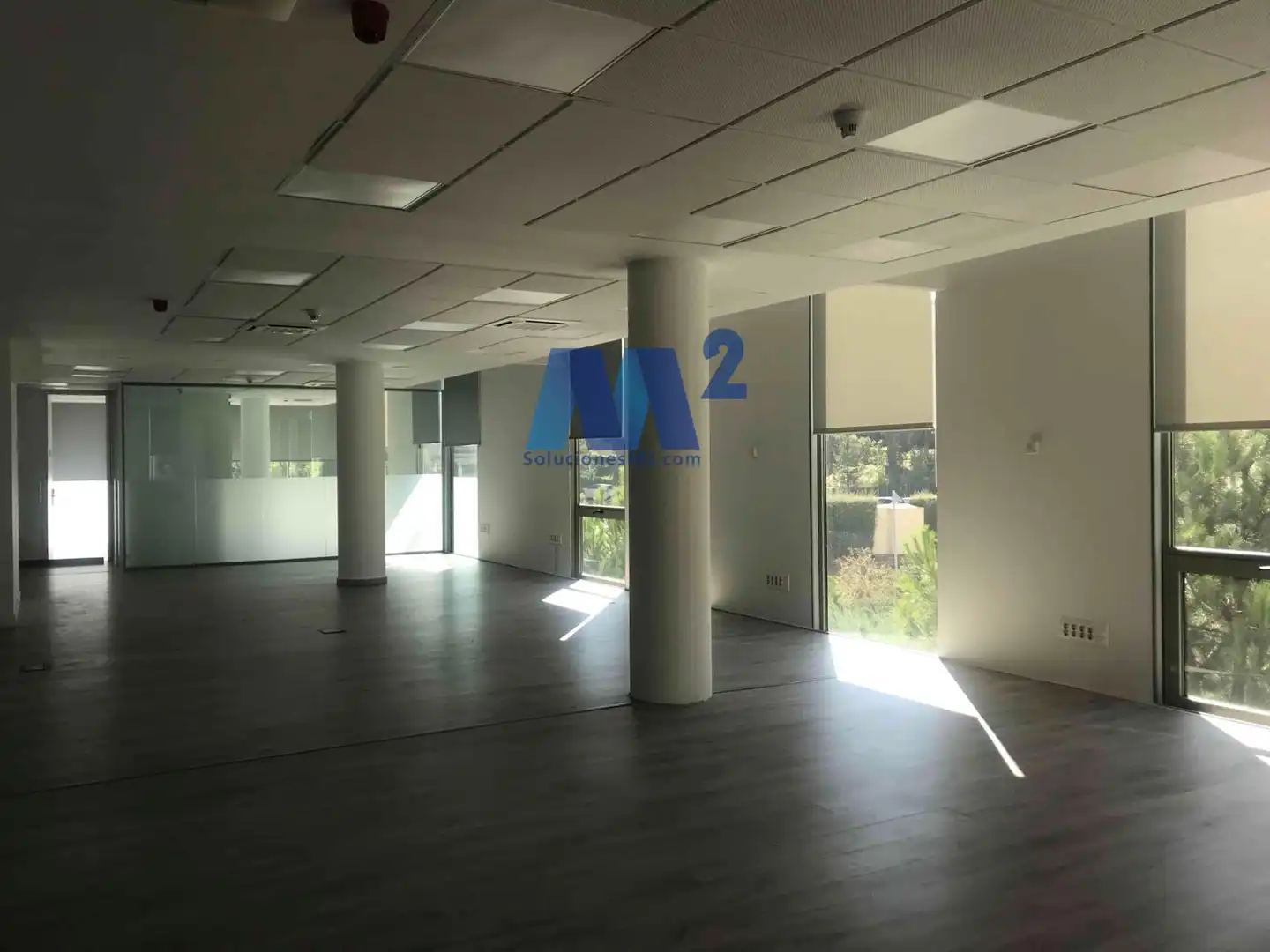 Office space to rent in Europa, imagen 3