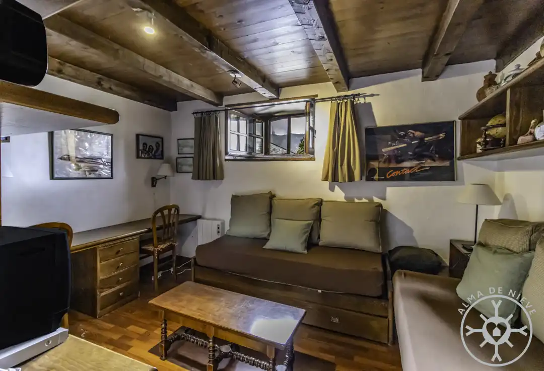 Living room of Detached homes for sale in Naut Aran  with Terrace and Furnished