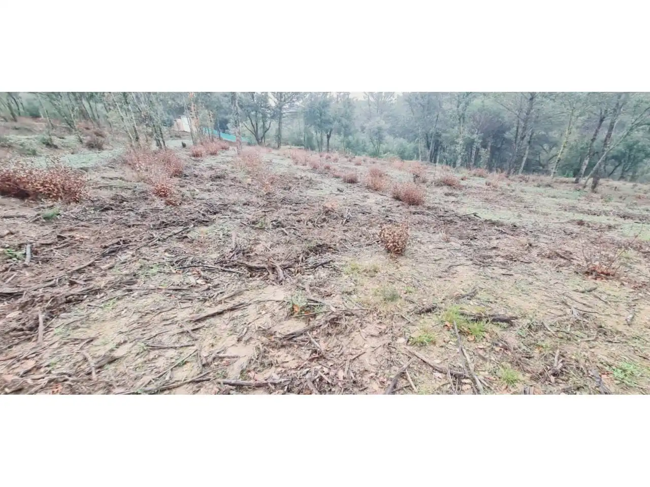 Rural land for sale in Lliçà d'Amunt, imagen 127