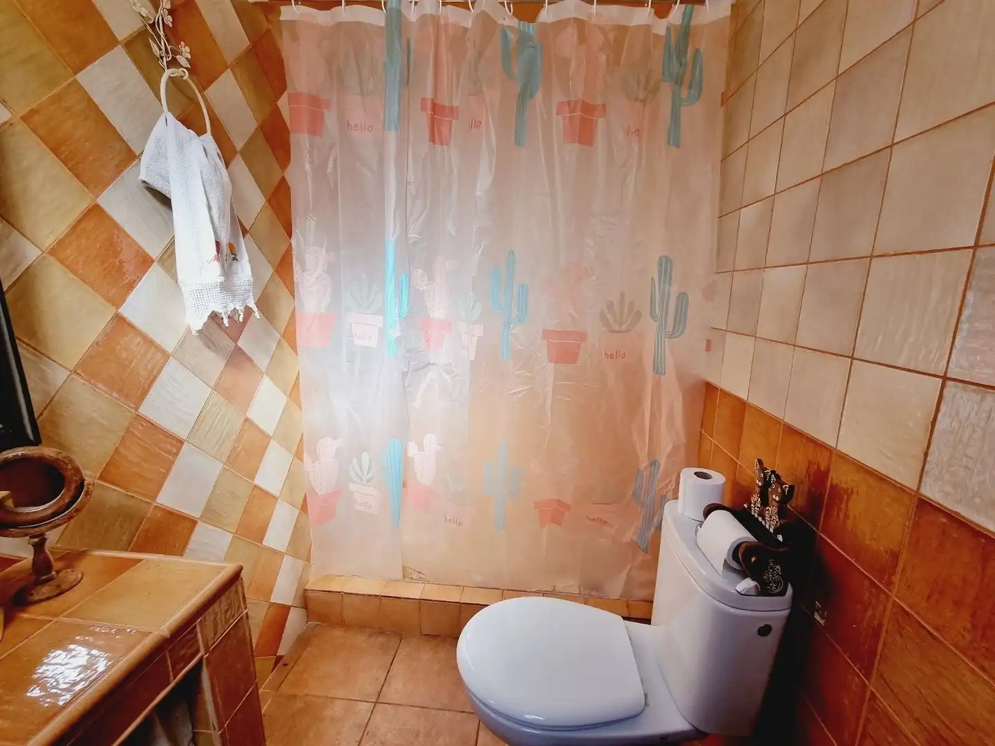 Baño de Casa o chalet en venta en Cuevas del Almanzora con Aire acondicionado, Terraza y Amueblado
