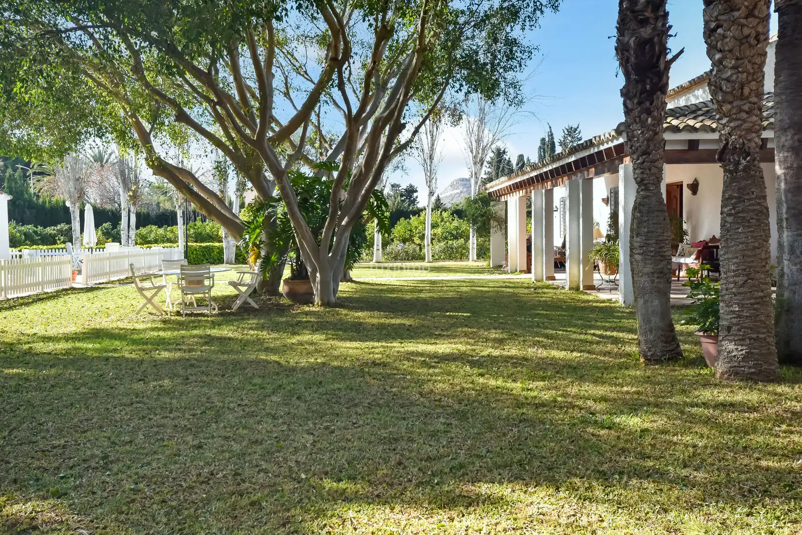 Jardí de Casa o xalet en venda en Alicante / Alacant amb Calefacció, Terrassa i Traster
