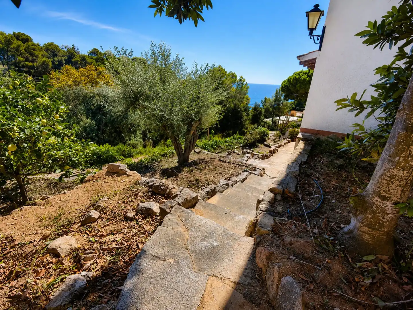 Jardí de Casa o xalet en venda en Tossa de Mar amb Calefacció, Jardí privat i Terrassa