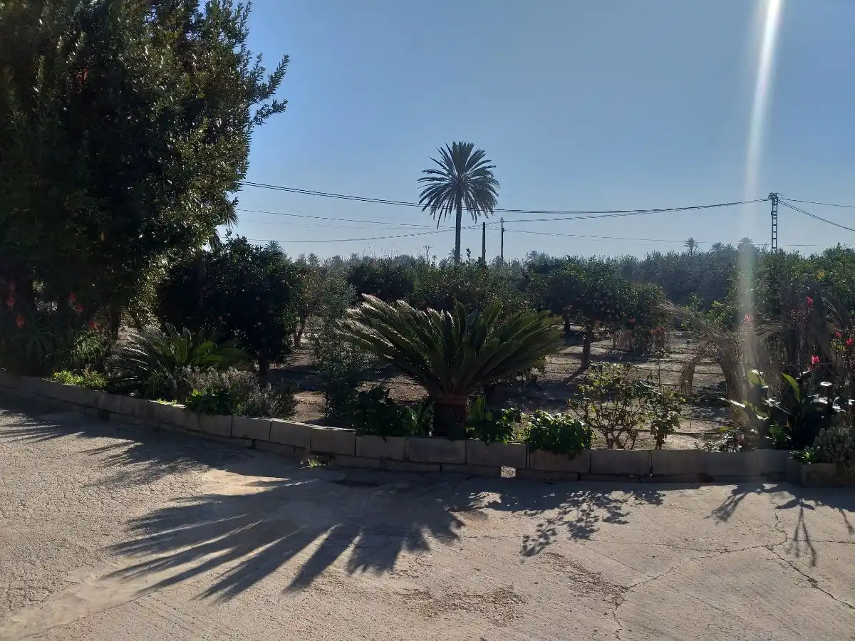 Casa o xalet en venda en Elche / Elx