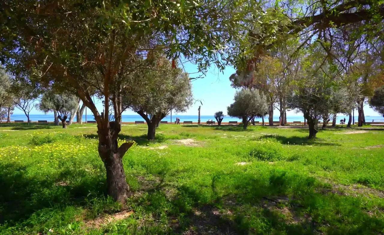 Apartment with pool for sale in Platja de Torres, imagen 65