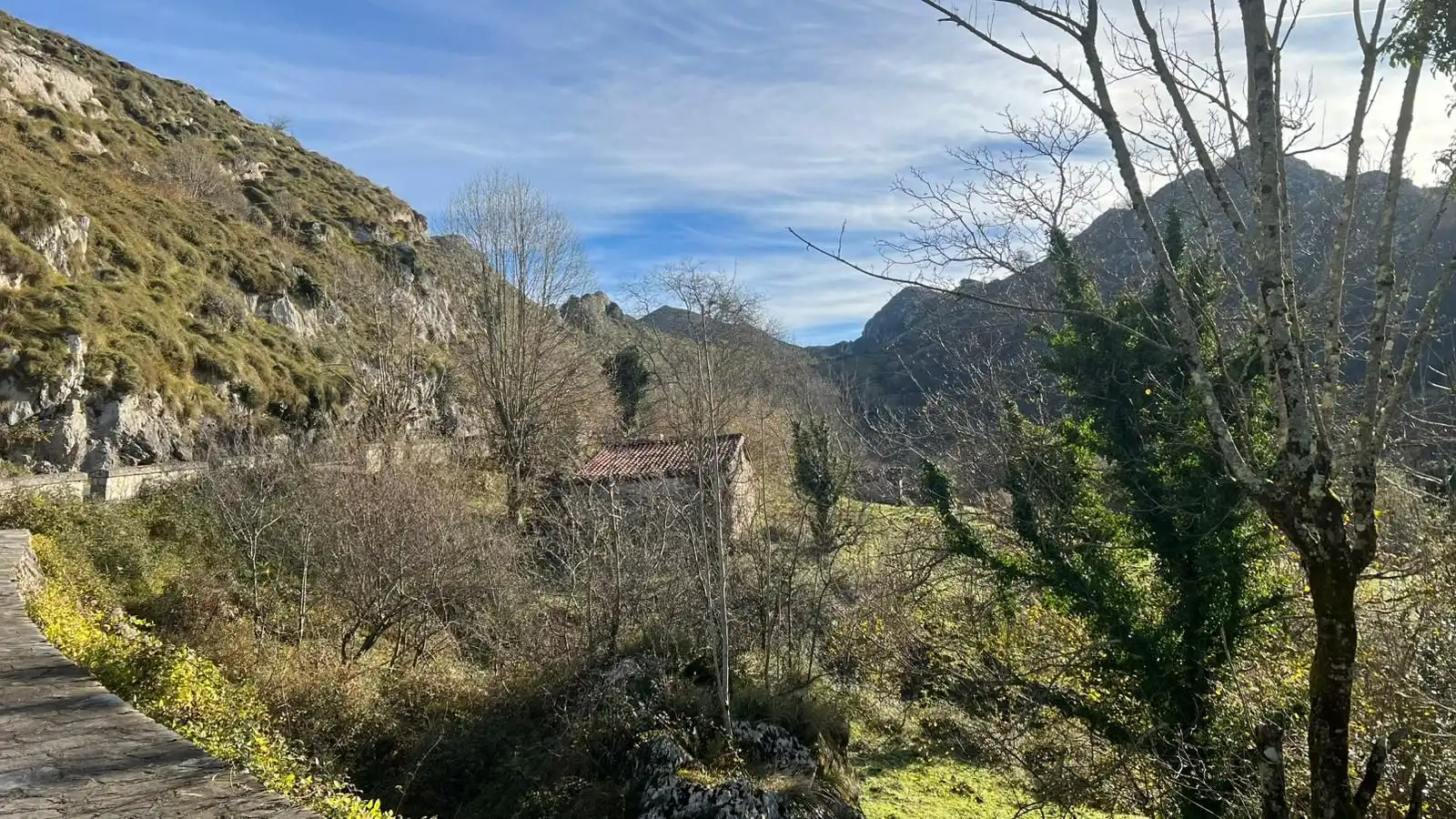 Terreno rustico in vendita a Cangas de Onís, imagen 12