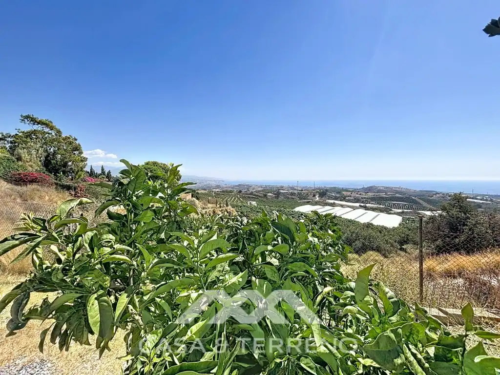 Detached house with garden for sale in Arroyo Arroyo Del Buho (Almayate), imagen 43