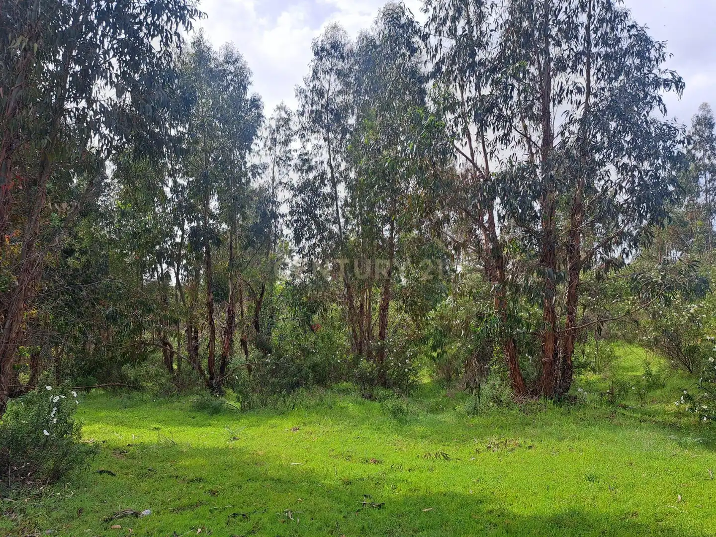 Terreno en venta en Herrera de Alcántara