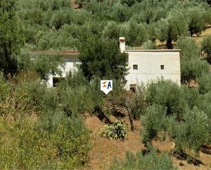 Country house for sale in Fuensanta de Martos