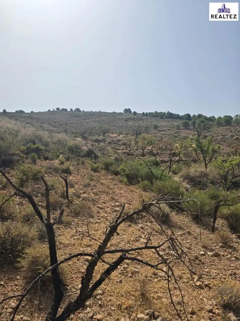 Terrain rustique à vendre à Alcolea, imagen 7
