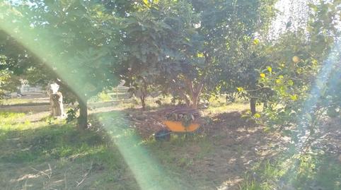 Photo 3 of Country house for sale in Garres y Lages, Murcia