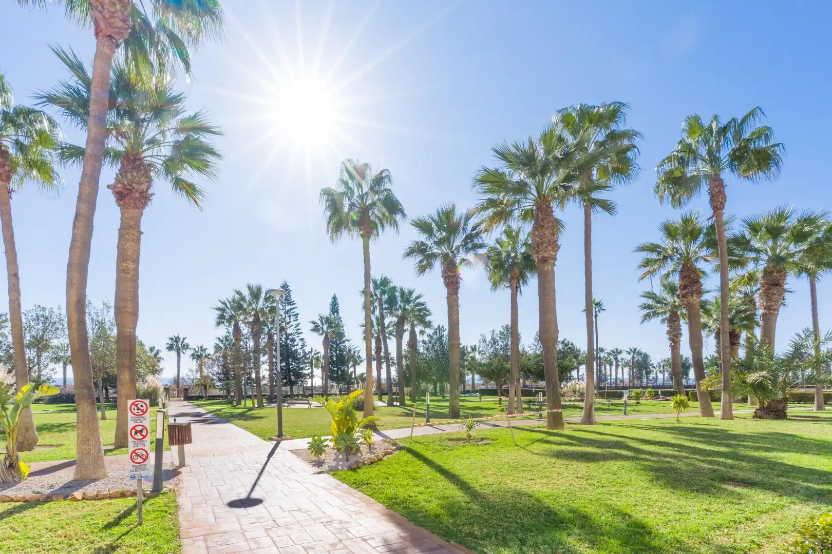 Vista exterior de Ático en venta en El Ejido con Aire acondicionado, Calefacción y Jardín privado
