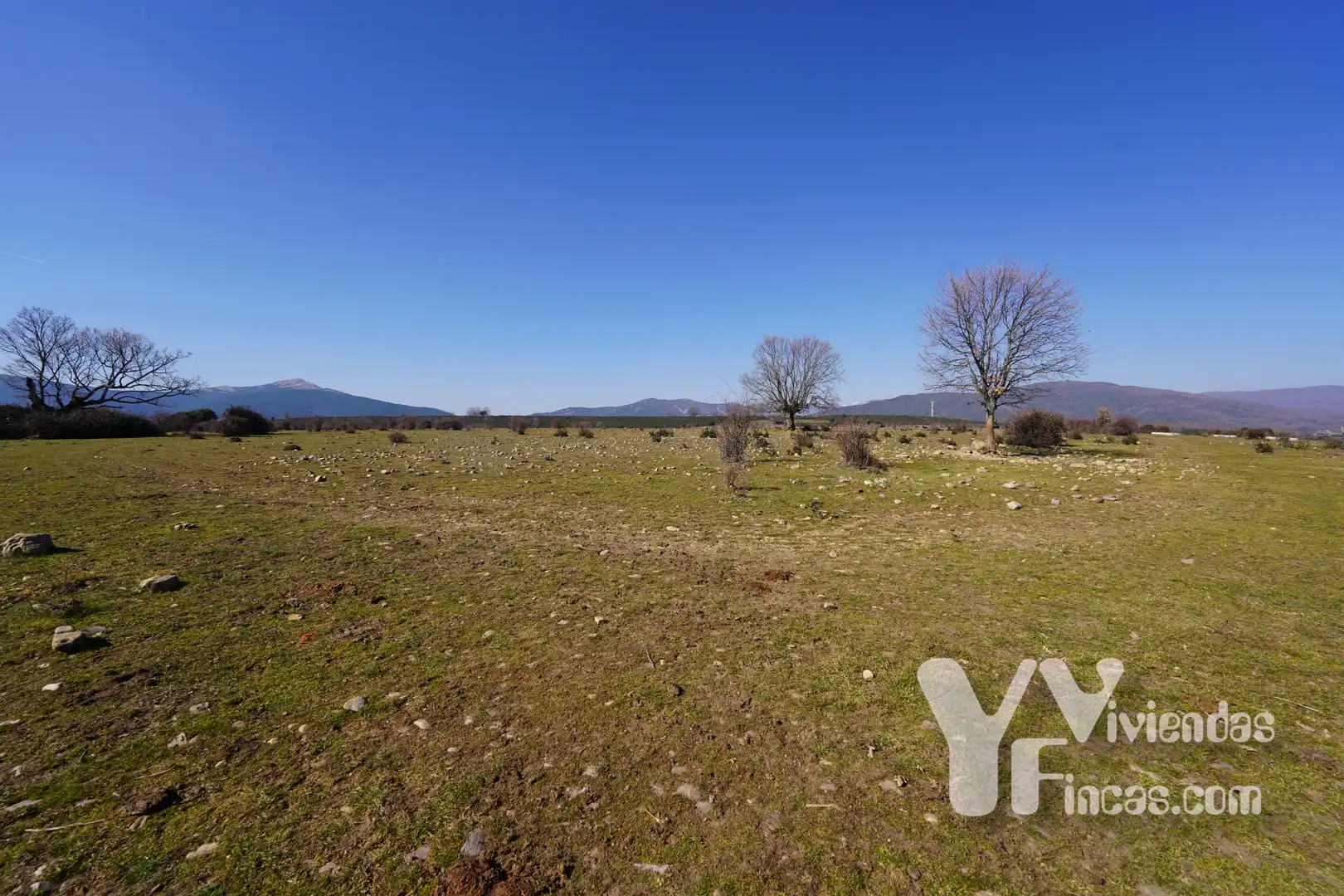 Terreno rústico en venta en Campillo de Ranas, imagen 14