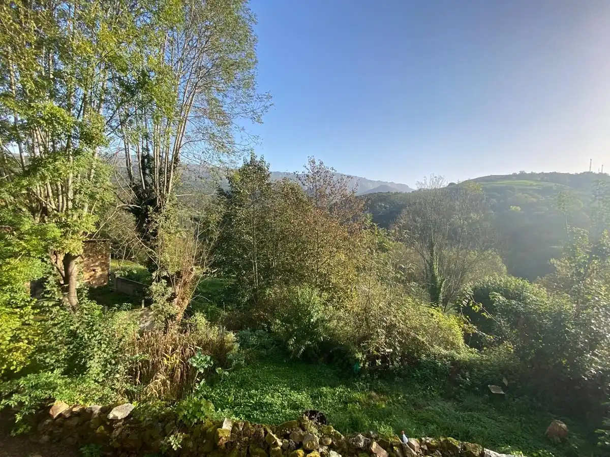 Adossat en venda a Cabrales, imagen 19
